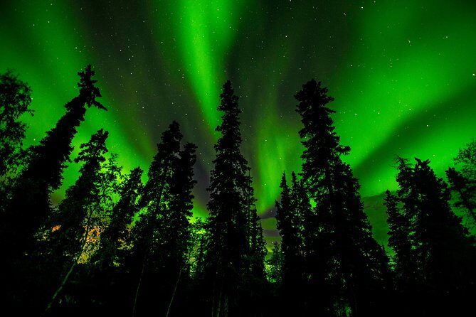 Northern Lights Tours - Pickup and timing in Yellowknife: the part that decides your whole night