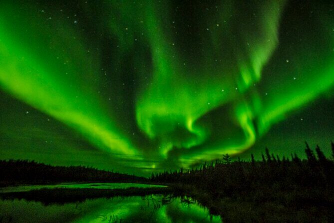 Northern Lights Tours - Warm snacks, hot drinks, and a mini coach: comfort that actually helps