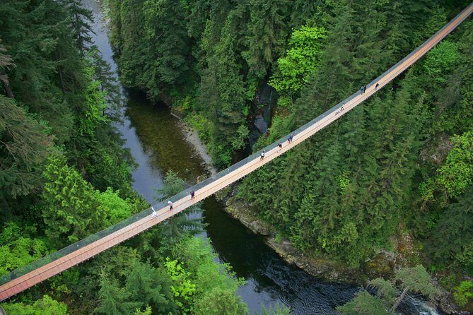Post-cruise: Vancouver Tour with Lookout & Capilano Bridge - Chinatown and Gastown Pass-Through: Quick City Texture Without the Deep Commitment