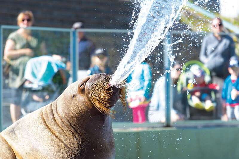 Quebec: Aquarium du Quebec Entry Ticket - Key points before you buy