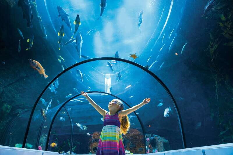 Quebec: Aquarium du Quebec Entry Ticket - Indoor exhibits that scratch the “small but fascinating” itch