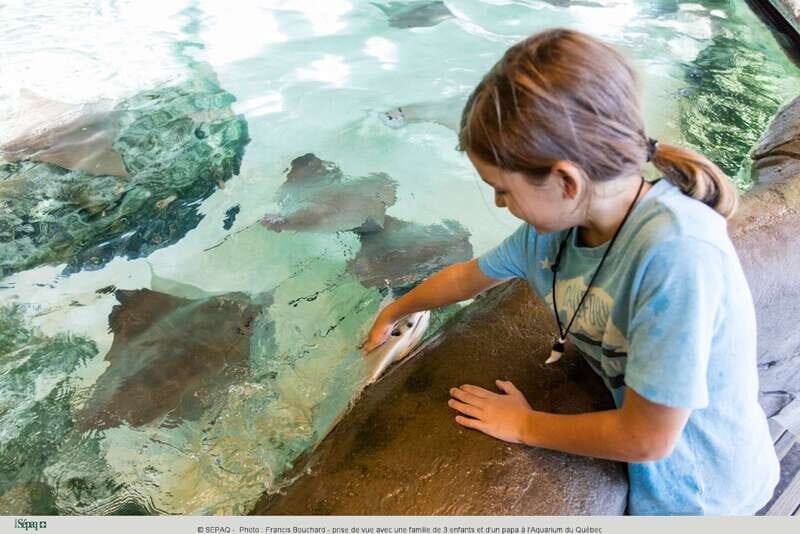 Quebec: Aquarium du Quebec Entry Ticket - Animal talks and the moments that make it feel alive