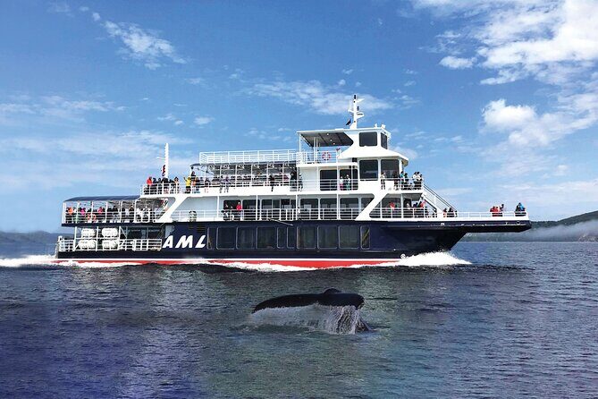 Québec City: Whale Watching Tour with Bus Transportation - What the 2.5- to 3-hour time on the water really means