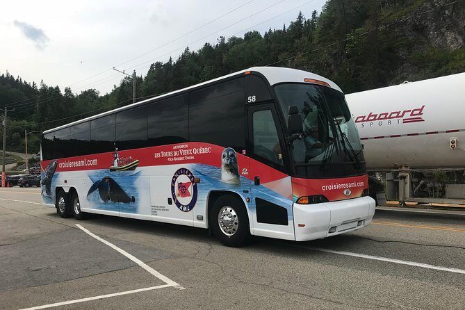 Québec City: Whale Watching Tour with Bus Transportation - Guide narration in English and French: how to make sure you hear what matters