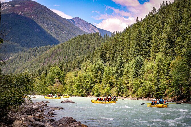 Rafting Adventure on the Kicking Horse River - On the river: coaching, rapids, and why the guide matters