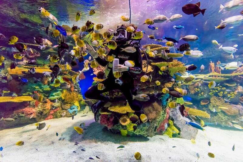 Ripley's Aquarium: Sharks After Dark Entry (After 5PM) - Crowds, kids, and photo habits: the real-world considerations