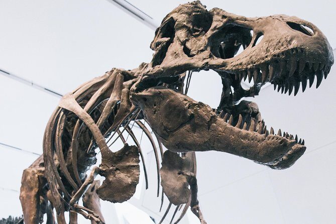 Royal Ontario Museum Admission - Getting in fast: mobile ticket, bag checks, and what to carry