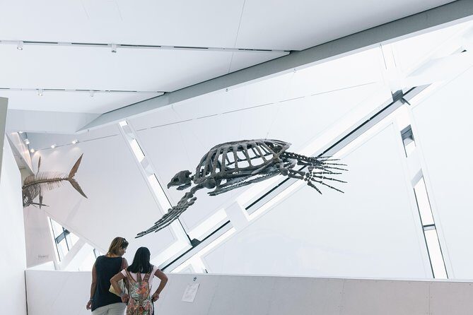 Royal Ontario Museum Admission - Gordo the Barosaurus and the dinosaur-and-fossil payoff