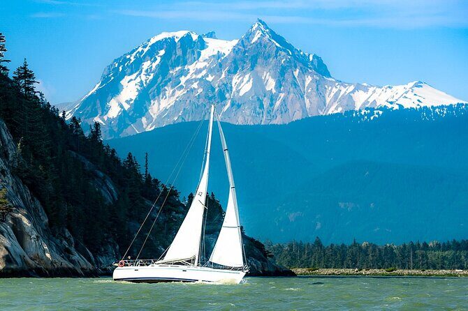 Sea to Sky Afternoon Sail - Wildlife odds: dolphins and Orcas, plus the reality check