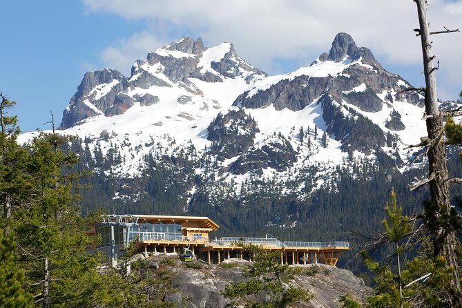 Sea to Sky Gondola Ticket - What you’ll do up top: suspension bridge, platforms, and trail time