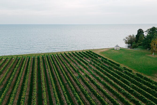 Seated Tasting Experience at Konzelmann Winery - Price, Timing, and What You Actually Get for $11.29