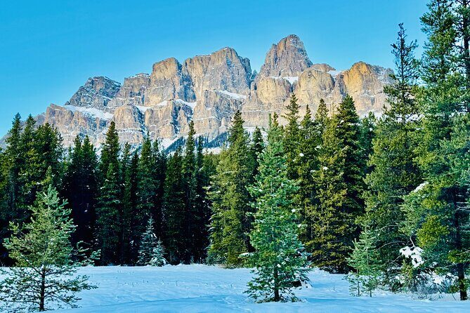ShuttleBus 2way Banff to Lake Louise (1Hr) and Moraine Lake (1Hr) - Driver commentary and the small comforts that actually matter