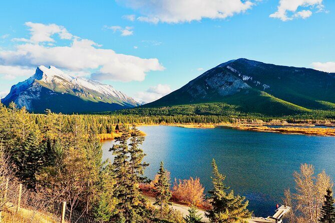 ShuttleBus 2way Banff to Lake Louise (1Hr) and Moraine Lake (1Hr) - Wildlife moments: how to spot it without turning the trip into chaos