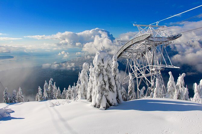 Small Group Tour: Capilano Suspension Bridge and Grouse Mountain from Vancouver - Why This Half-Day Feels Efficient (Small Group + Priority Entry)