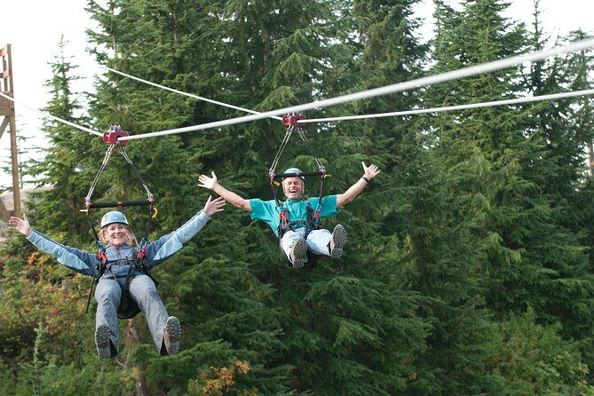Small Group Tour: Capilano Suspension Bridge and Grouse Mountain from Vancouver - Price and Value: What $217.78 Actually Buys You