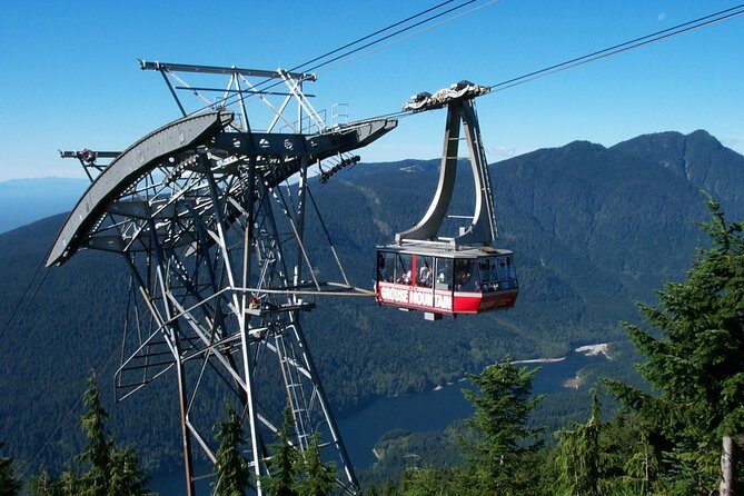 Small Group Tour: Capilano Suspension Bridge and Grouse Mountain from Vancouver - Grouse Mountain: Gondola Ride, Grizzlies, and Sky Theatre-Style Fun