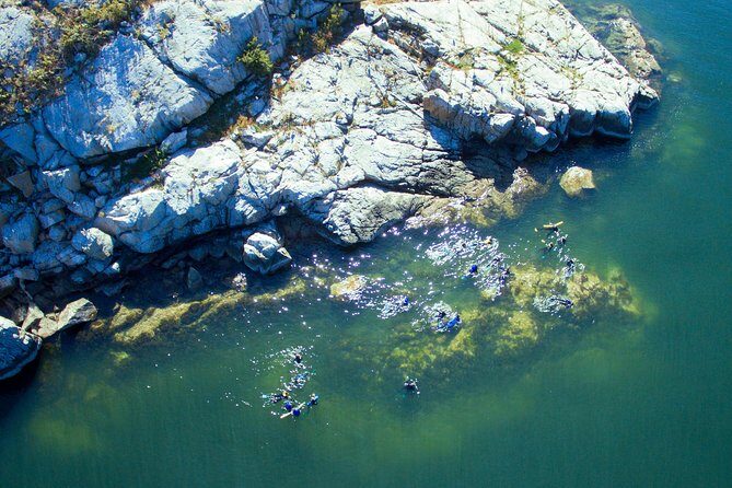 Snorkel, Kayak, and Seal Adventure: Vancouver Boat Tour - Snorkeling First: wetsuits, safety coaching, and real seal time