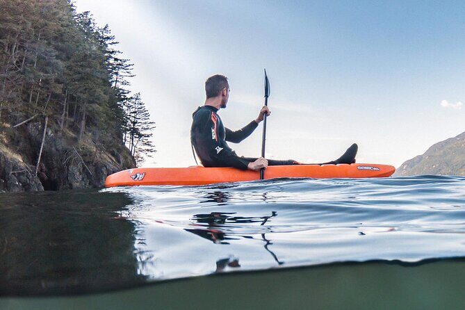 Snorkel, Kayak, and Seal Adventure: Vancouver Boat Tour - Kayaking Near the Seals: fun, but read the water