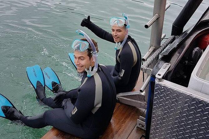 Snorkel, Kayak, and Seal Adventure: Vancouver Boat Tour - The Boat Ride Between Stops: scenery you can’t fake