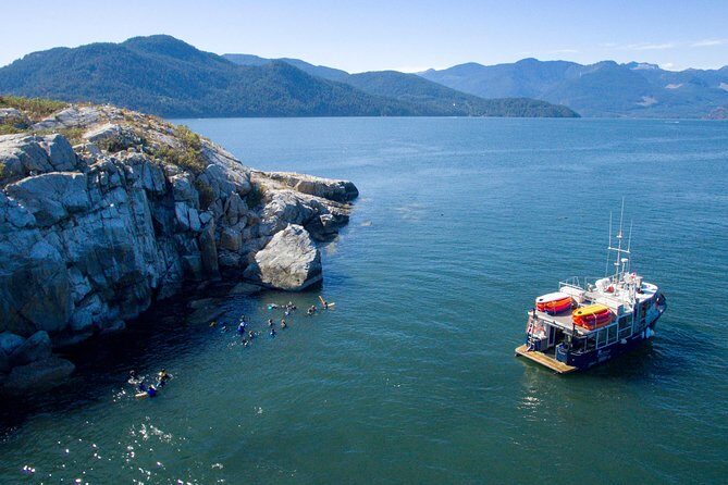 Snorkel, Kayak, and Seal Adventure: Vancouver Boat Tour - Pam Rocks Harbor Seals: the point of the trip
