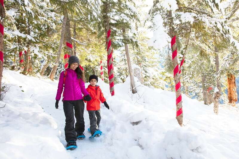 Squamish: Sea to Sky Gondola Admission Ticket - Key highlights to know before you go