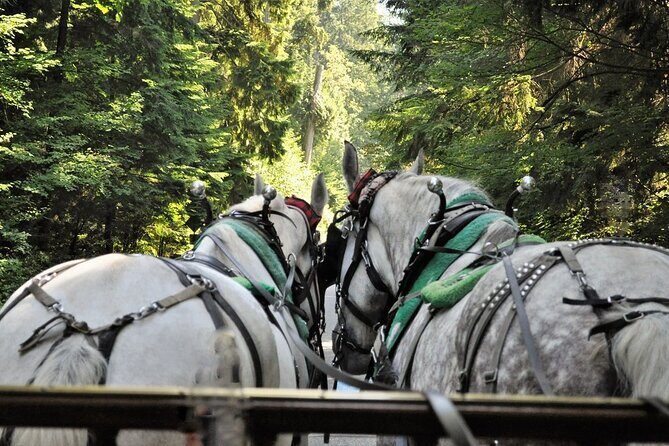 Stanley Park Horse Drawn Tour in Vancouver - Entering the Stanley Park carriage scene from Coal Harbour