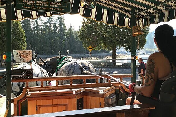 Stanley Park Horse Drawn Tour in Vancouver - Price and value: what you’re paying for at about $48.91