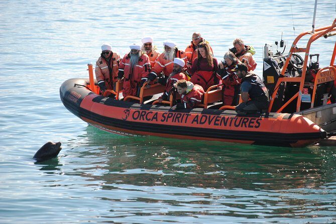 Summer Whale Watching Tour in a Zodiac Boat in Victoria - How your whale search actually works (and the free rebook safety net)