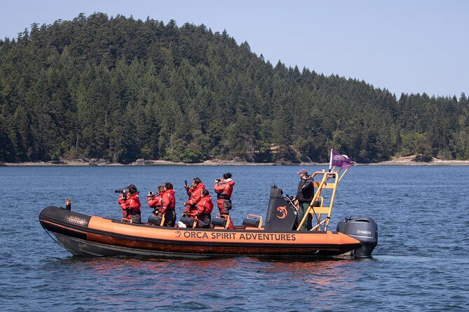 Summer Whale Watching Tour in a Zodiac Boat in Victoria - What to wear for a zodiac tour in Victoria (so you stay happy)