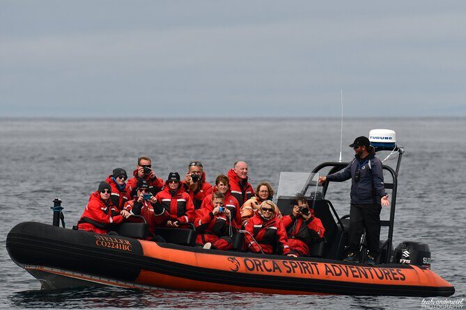 Summer Whale Watching Tour in a Zodiac Boat in Victoria - Guide style and why the small group number matters