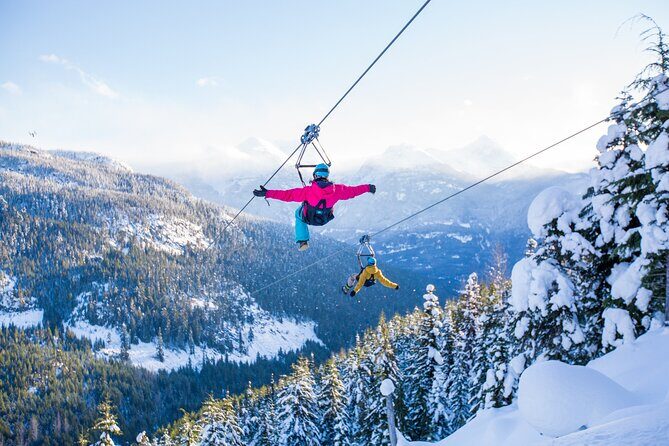 Superfly Ziplines on Cougar Mountain - includes 4 ziplines! - Key Points Before You Go