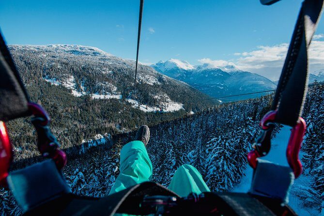 Superfly Ziplines on Cougar Mountain - includes 4 ziplines! - Cougar Mountain Zipline Course: What 4 Lines Actually Feels Like