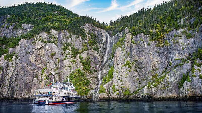 Tadoussac/Charlevoix: 3-Hour Whale Watching Boat Tour - Who this tour fits best (and who might want to choose something else)