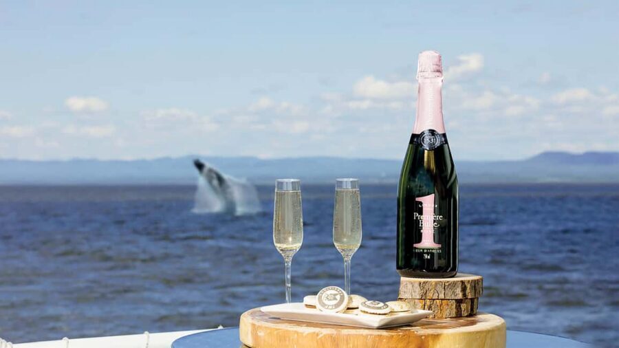 Tadoussac/Charlevoix: VIP Lounge OR UpperDeck Whale Watching - 3 hours in the Marine Park: what you’ll actually see during the cruise