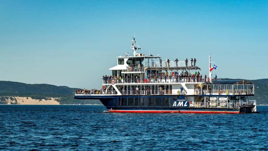 Tadoussac/Charlevoix: VIP Lounge OR UpperDeck Whale Watching - Up to 13 species: how the guide help changes your whale-watching odds