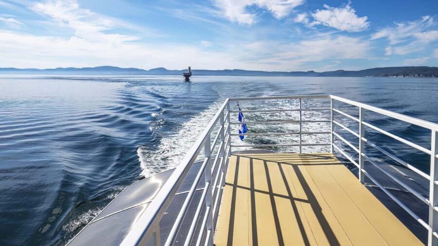 Tadoussac/Charlevoix: VIP Lounge OR UpperDeck Whale Watching - Ethics, safety, and the rules you should follow on board