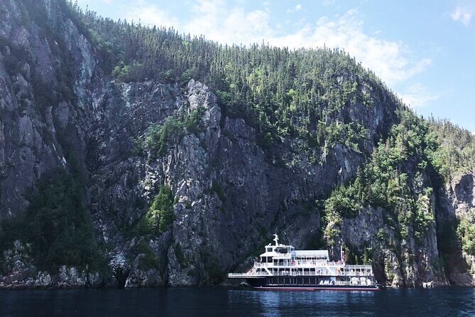 Tadoussac/Charlevoix: Whale Watching Tour - Where You Go: The Saguenay–St. Lawrence Marine Park Hits Different