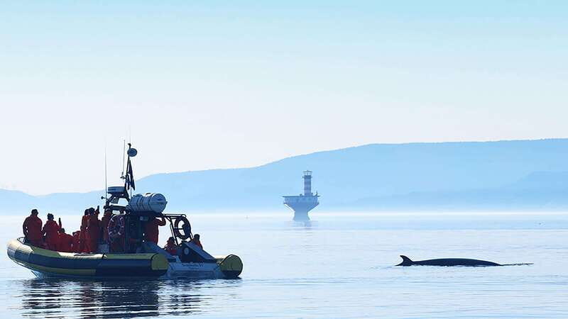 Tadoussac/Charlevoix: Whale Watching Zodiac Tour - The route from Tadoussac toward prime whale waters