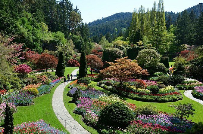 The Butchart Gardens Express Shuttle from Downtown Victoria - Butchart Gardens on Your Own Terms: What to See Once You’re There