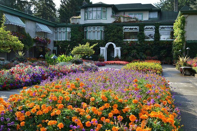 The Butchart Gardens Express Shuttle from Downtown Victoria - The 35-Minute Shuttle Ride: Comfort and Real Local Stories