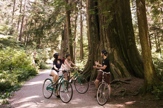 The Stanley Park Bicycle Tour by Cycle City Tours - Weather Reality: Rain or Shine Means You Should Pack Smart