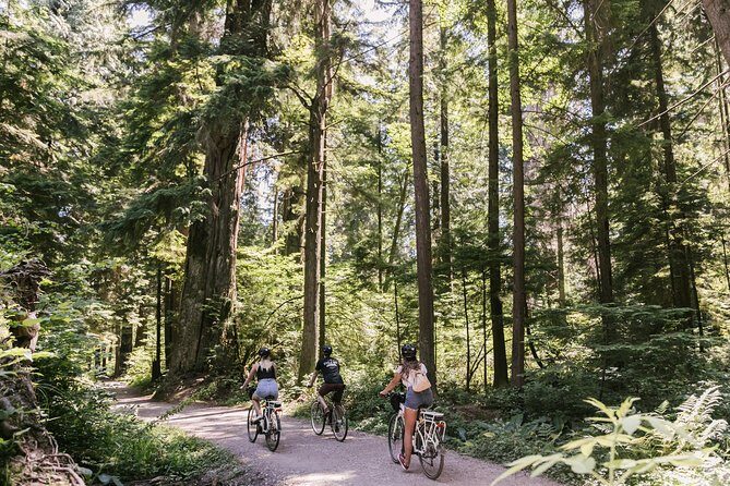 The Stanley Park Bicycle Tour by Cycle City Tours - Stop-by-Stop: What Each Moment Feels Like