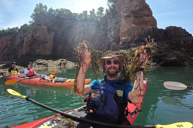 Three Sisters Sea Kayaking Day Tour - Who this tour suits best (and who should rethink it)