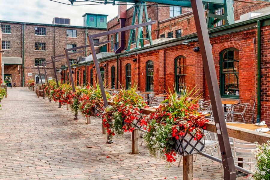 Toronto: Premium Night Driving Tour with Tower Entry - Old Toronto and the Entertainment District: learn what you’re actually seeing