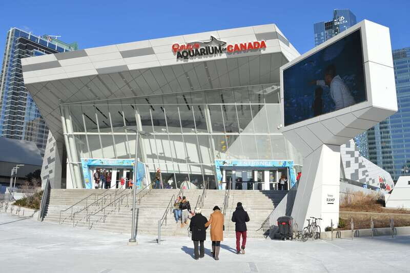 Toronto: Ripley's Aquarium of Canada Entry Ticket - Skip the ticket line and manage crowds like a pro