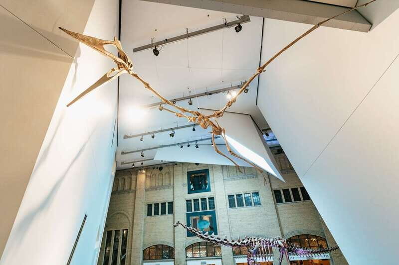 Toronto: Royal Ontario Museum Admission Ticket - Dinosaur Hall Highlights: Barosaurus, Parasaurolophus, and Fossil Scale