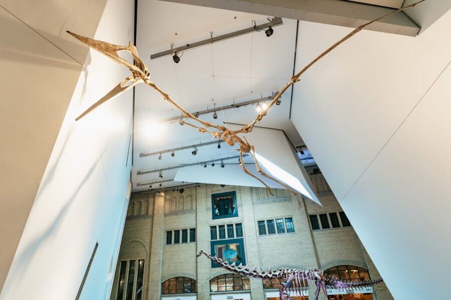 Toronto: Royal Ontario Museum Admission Ticket - Should You Book This ROM Admission Ticket?