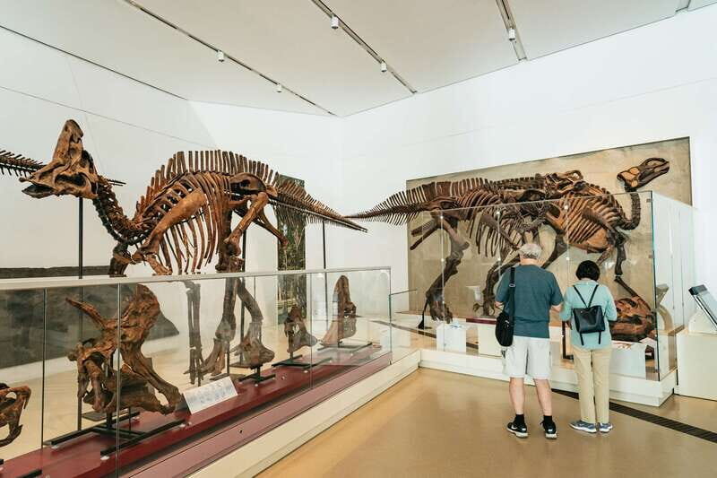 Toronto: Royal Ontario Museum Admission Ticket - Entering Through the Weston–Queen’s Park Entrances and Checking In