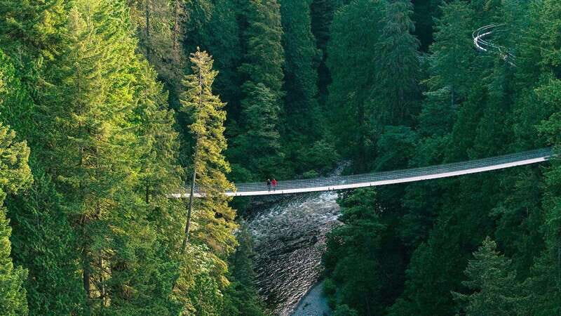 Vancouver: Capilano Suspension Bridge Park Ticket - Quick hits: why Capilano feels like a real day out