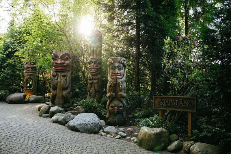 Vancouver: Capilano Suspension Bridge Park Ticket - Treetops Adventure: the squirrel’s-eye view you can’t get from the ground